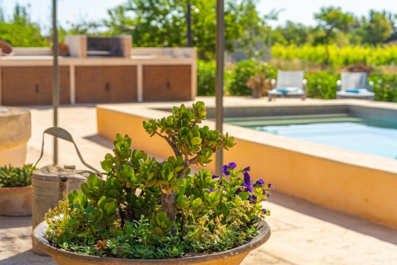 Finca Campestre Es Verger Blue Binissalem Bagian luar foto